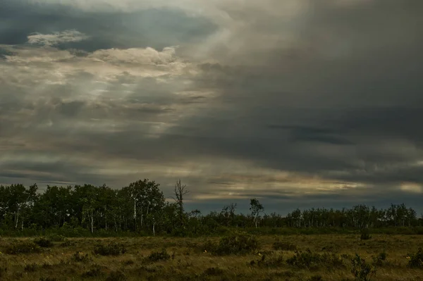 Příroda Celého Města Winnipeg Manitoba — Stock fotografie