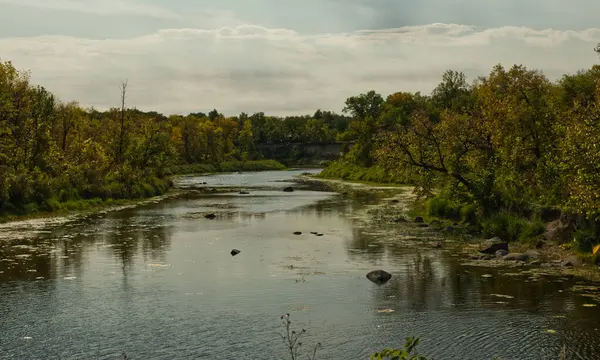 Winnipeg Manitoba şehrinin çevresinden gelen doğa.