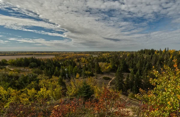 Manitoba Daki Güney Batı Ormanı — Stok fotoğraf