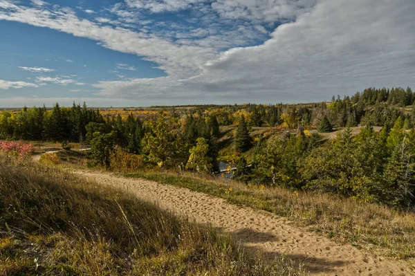 Manitoba 'daki Güney Batı Ormanı