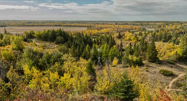 Sydvästra Skogen Manitoba Tidig Höst — Stockfoto