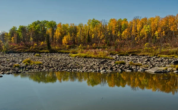 Manitoba 'daki Doğu Ormanı