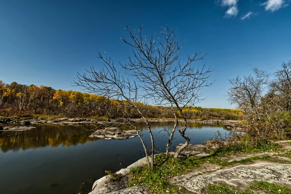 Winnipeg Manitoba şehrinin çevresinden gelen doğa.