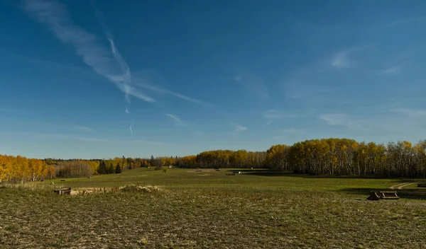 Winnipeg Manitoba şehrinin çevresinden gelen doğa.