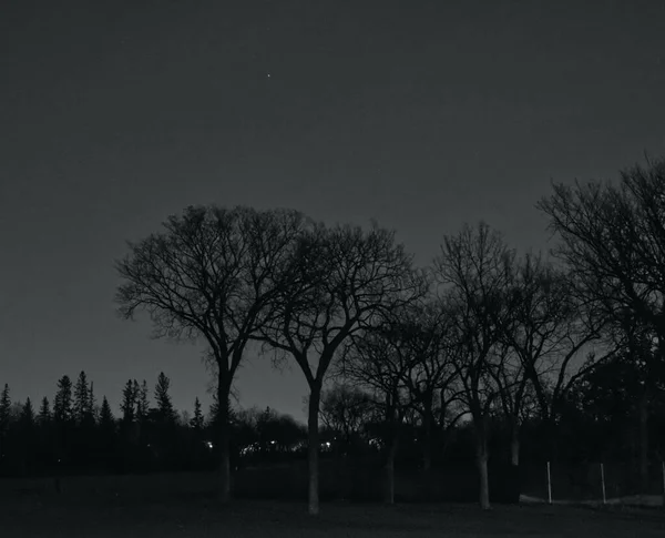 Stille Stad Nachts Winnipeg Manitoba Canada — Stockfoto