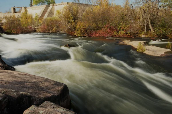 Manitoba 'daki Doğu Ormanı