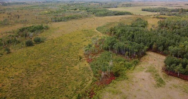 Yazın Manitoba Kanada 'nın Arial manzarası