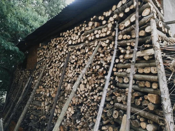 wooden logs in the forest