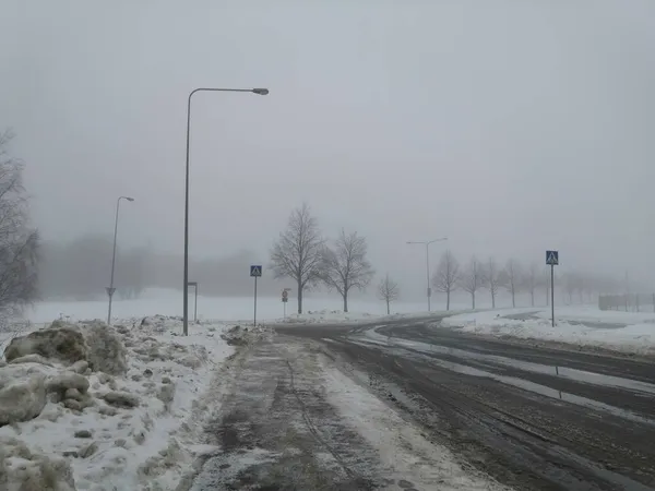 winter landscape with snow and trees