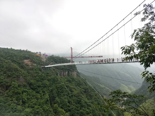 view of the bridge in the city of china