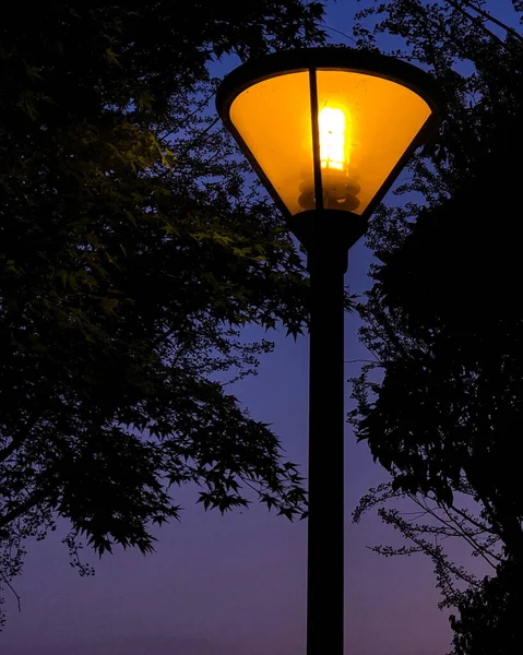 street lamp in the night sky