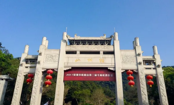 the chinese new year\'s palace in the city of china