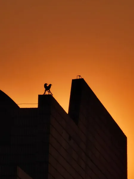 silhouette of a house on the roof of the building