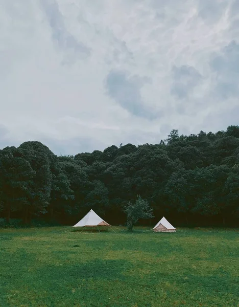 beautiful landscape with a tent and a tree