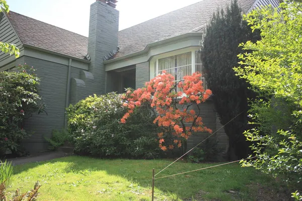 beautiful garden with a large window