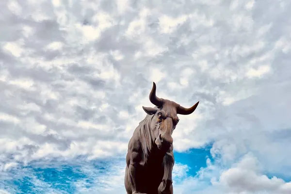 a cow in the sky