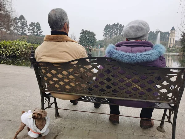 senior couple sitting on bench in park