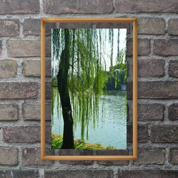 wooden window with a green leaves