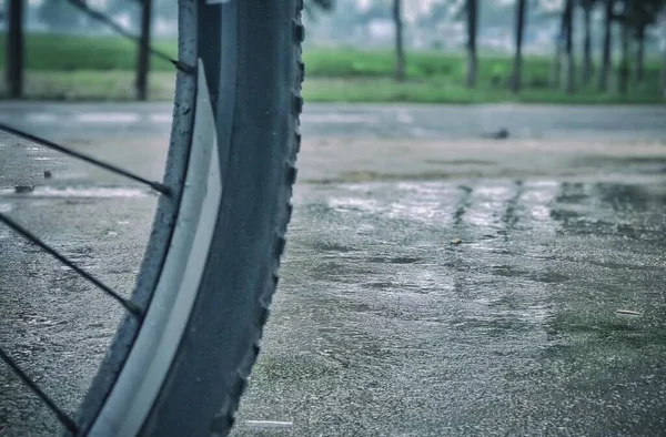 car tire on the road