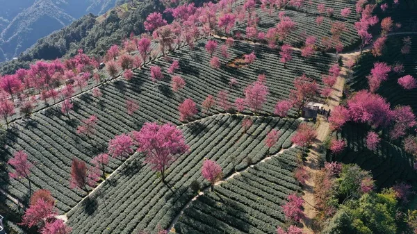 beautiful landscape of the valley of the city