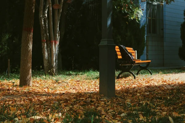 autumn park, fall season, yellow leaves, trees, benches, bench, fallen in the forest
