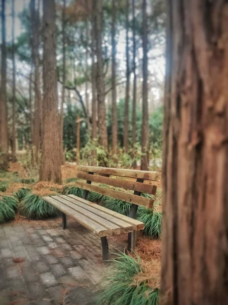 a beautiful shot of a wooden bench in the forest