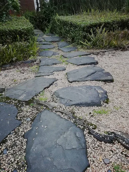 stone path in the park