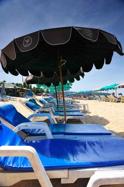 beach chairs and umbrellas on the sea coast