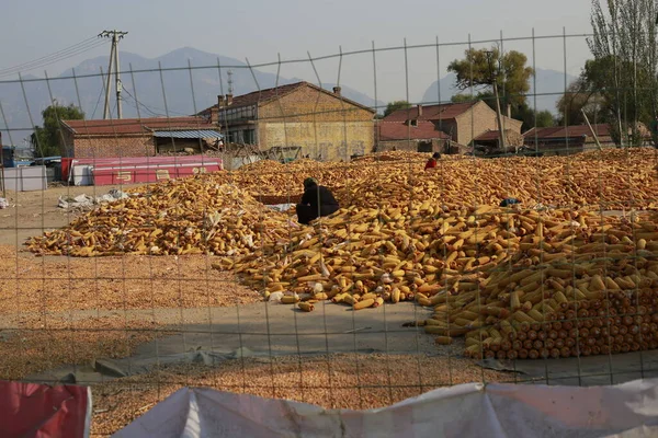 a pile of firewood for the production of the house