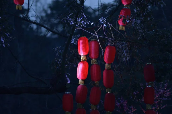 beautiful chinese lanterns in the night