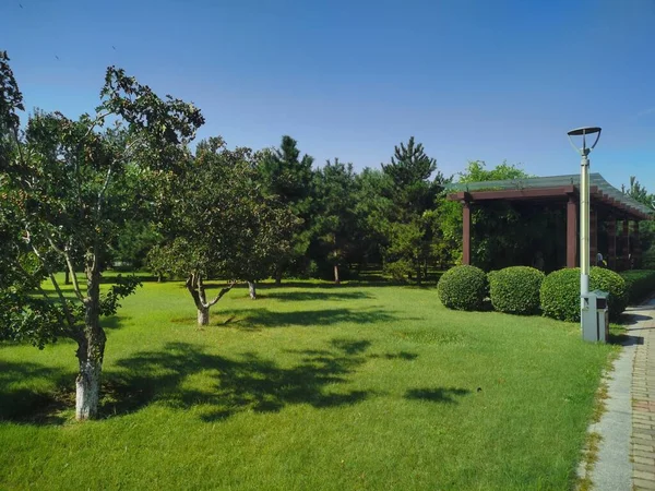 beautiful garden with green grass and trees