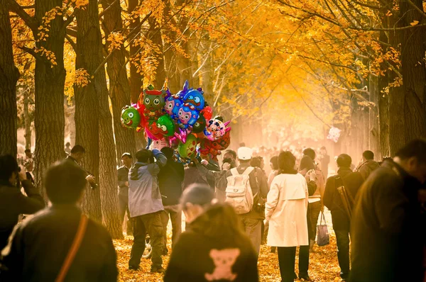 autumn festival, the bride and groom