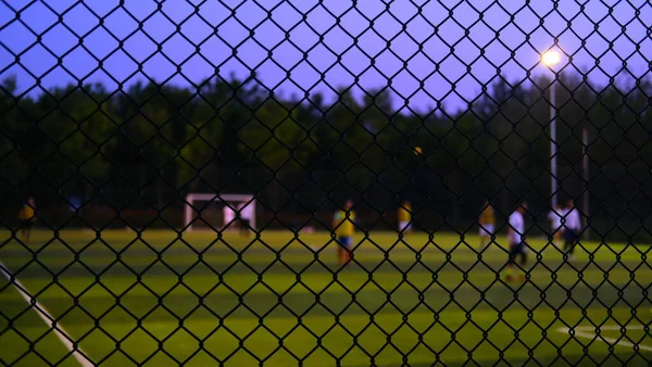 a vertical closeup shot of a grid of a metal fence