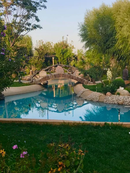beautiful garden pool with green trees and plants