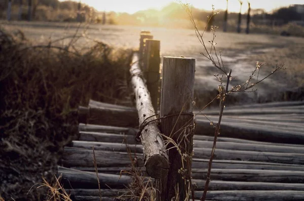 wooden fence in the forest