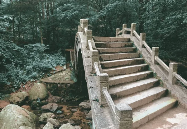 old stone stairs in the forest
