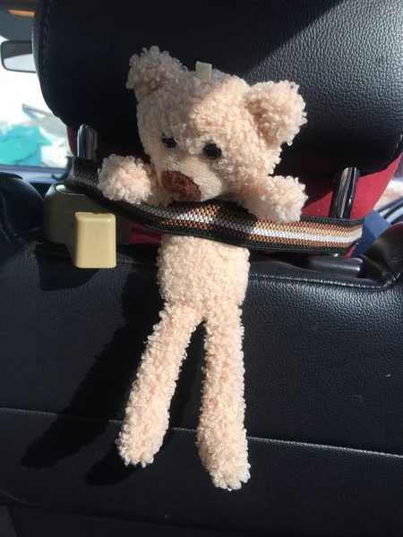 teddy bear with a toy car