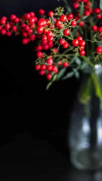 christmas wreath with berries on a black background