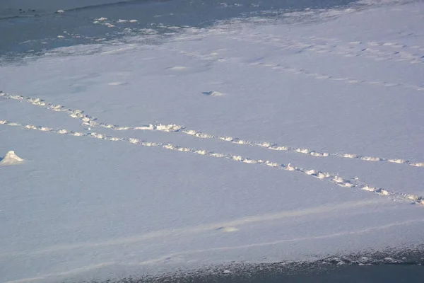 snow-covered sea, footprints in the winter