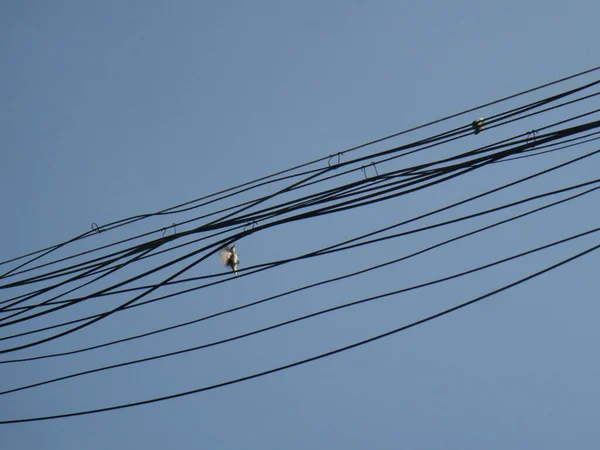 high voltage wires on the sky background