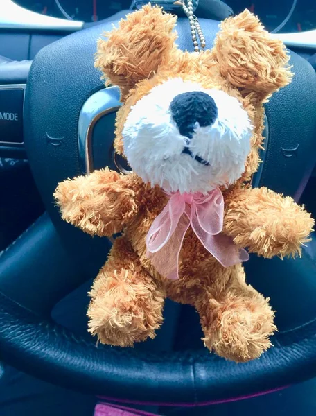 teddy bear with a toy car