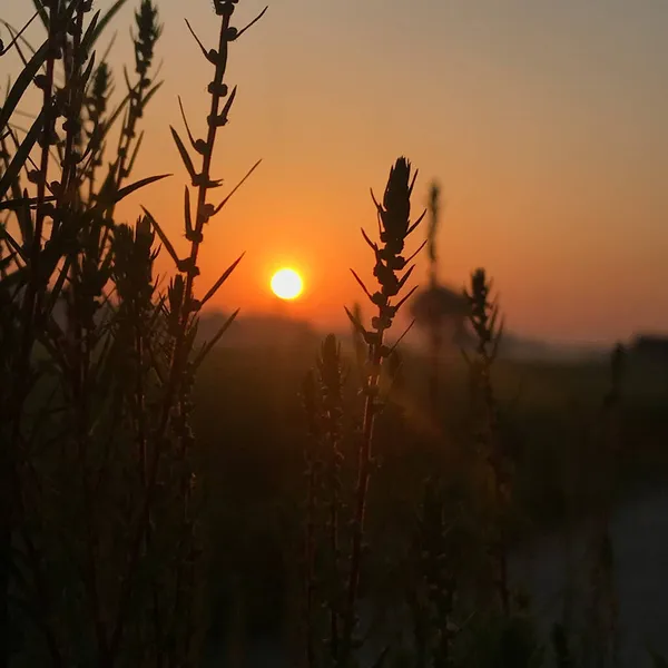 Hermoso Atardecer Campo — Foto de Stock