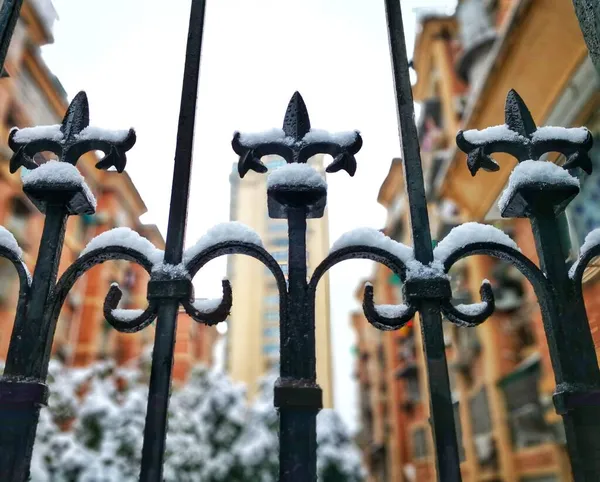 forged metal fence with a wrought iron railing