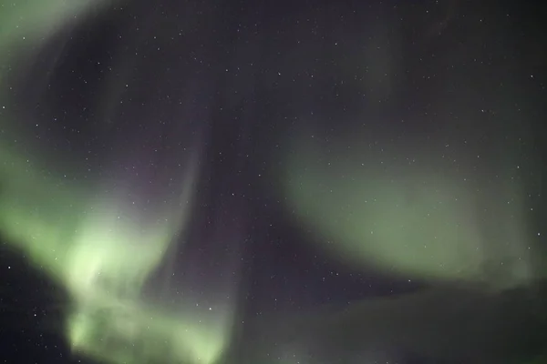 green and white star borealis