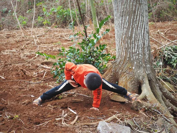 young woman doing yoga in the forest