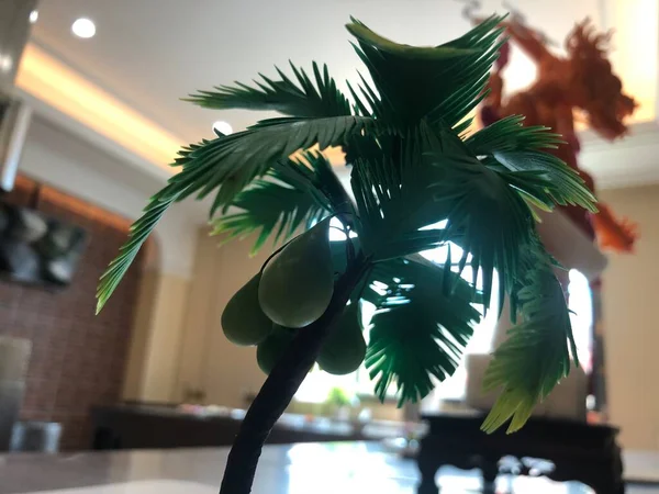 beautiful tropical palm tree with shadow