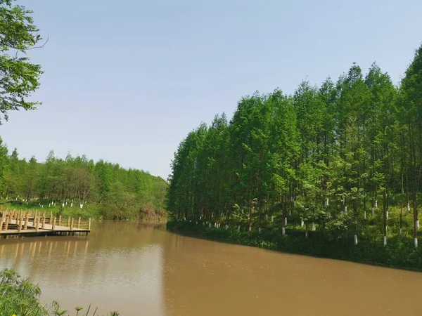 stock image beautiful landscape with river and trees