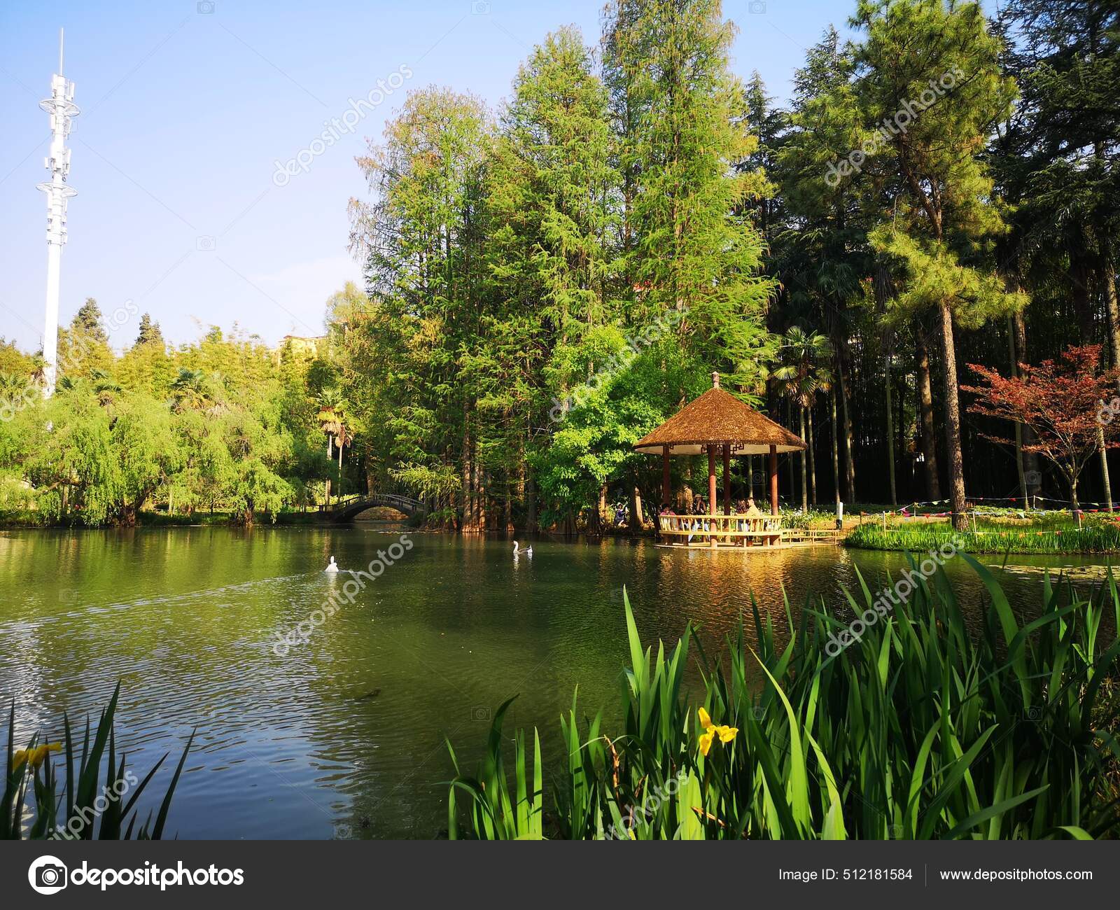 Hermosa Vista Del Parque — Foto editorial de stock © Tuchong