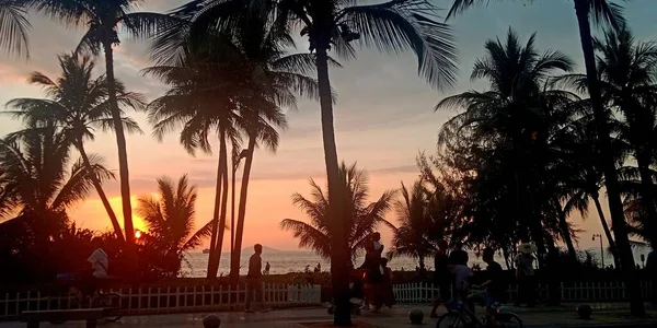 beautiful tropical beach at sunset, palm trees, palms, coconut, sun, sand, sea, sunrise