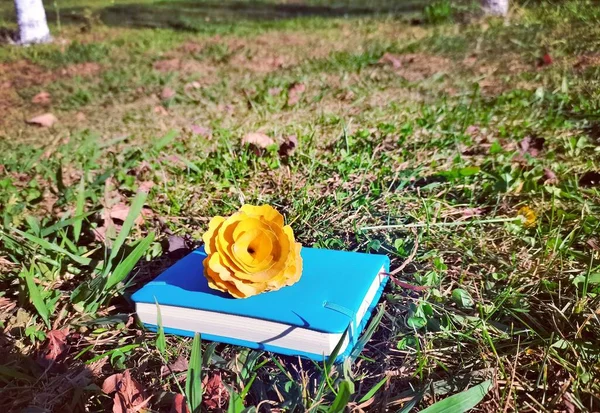 a book with a bouquet of roses and a red rose